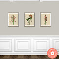 Miniature Botanic Art Red Flowers, Gallery Wall for Dollhouses Printable Download 8.5 x 11"