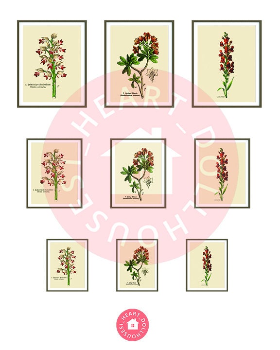 Miniature Botanic Art Red Flowers, Gallery Wall for Dollhouses Printable Download 8.5 x 11"
