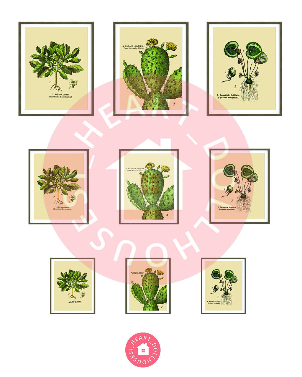 Miniature Botanic Art, Cactus Gallery Wall for Dollhouses Printable Download 8.5 x 11"