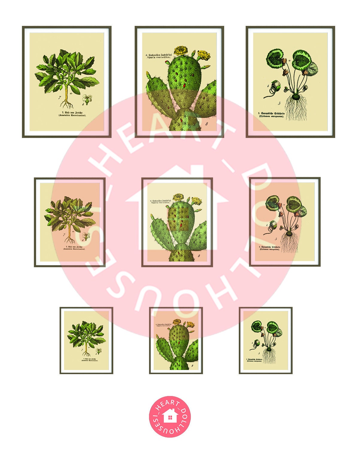 Miniature Botanic Art, Cactus Gallery Wall for Dollhouses Printable Download 8.5 x 11"