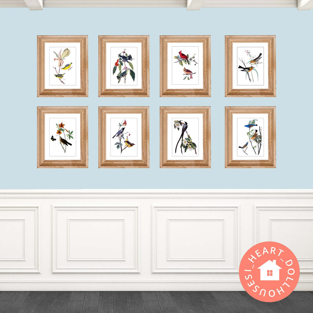 Dollhouse Miniature Bird Prints, Gallery Wall Art (PDF Download)
