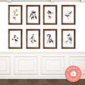 Dollhouse Miniature Bird Prints, Gallery Wall Art (PDF Download)