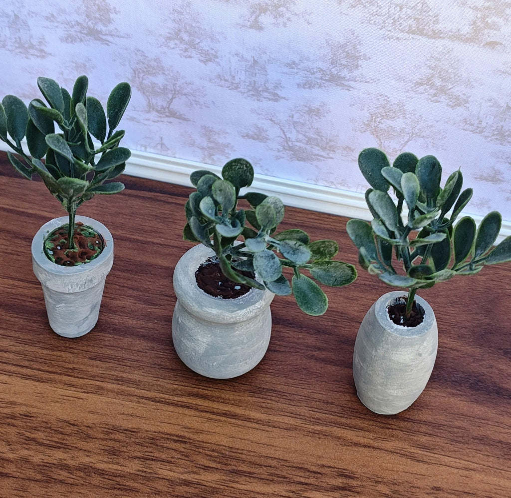 Miniature Fiddle Leaf Plant in Faux Cement Pot Modern Dollhouse Decor