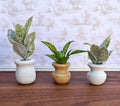 Miniature Plants Faux Cement Pot Modern Dollhouse Decor