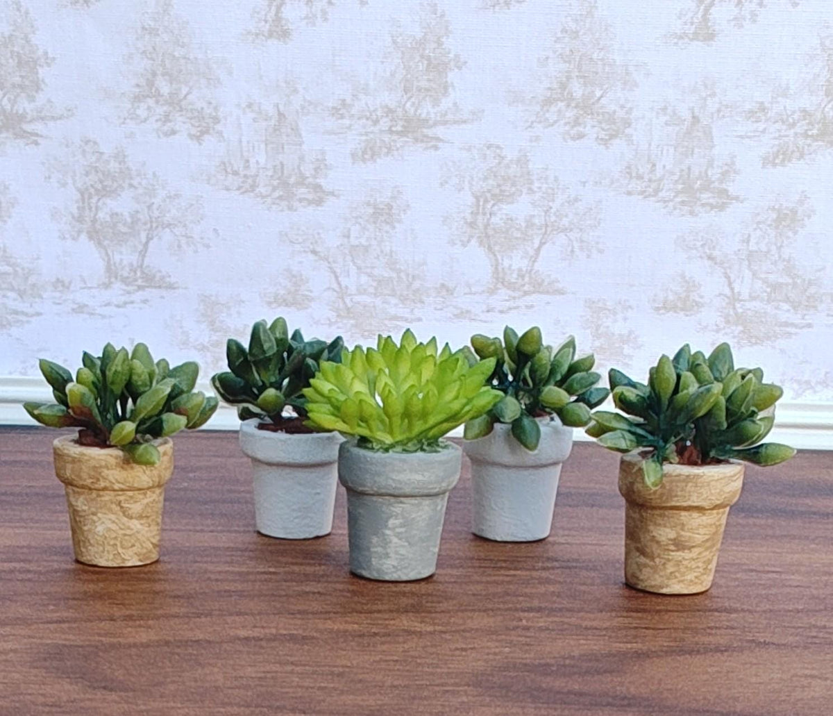 Miniature Succulents in Faux Small Cement Pot Modern Dollhouse Decor