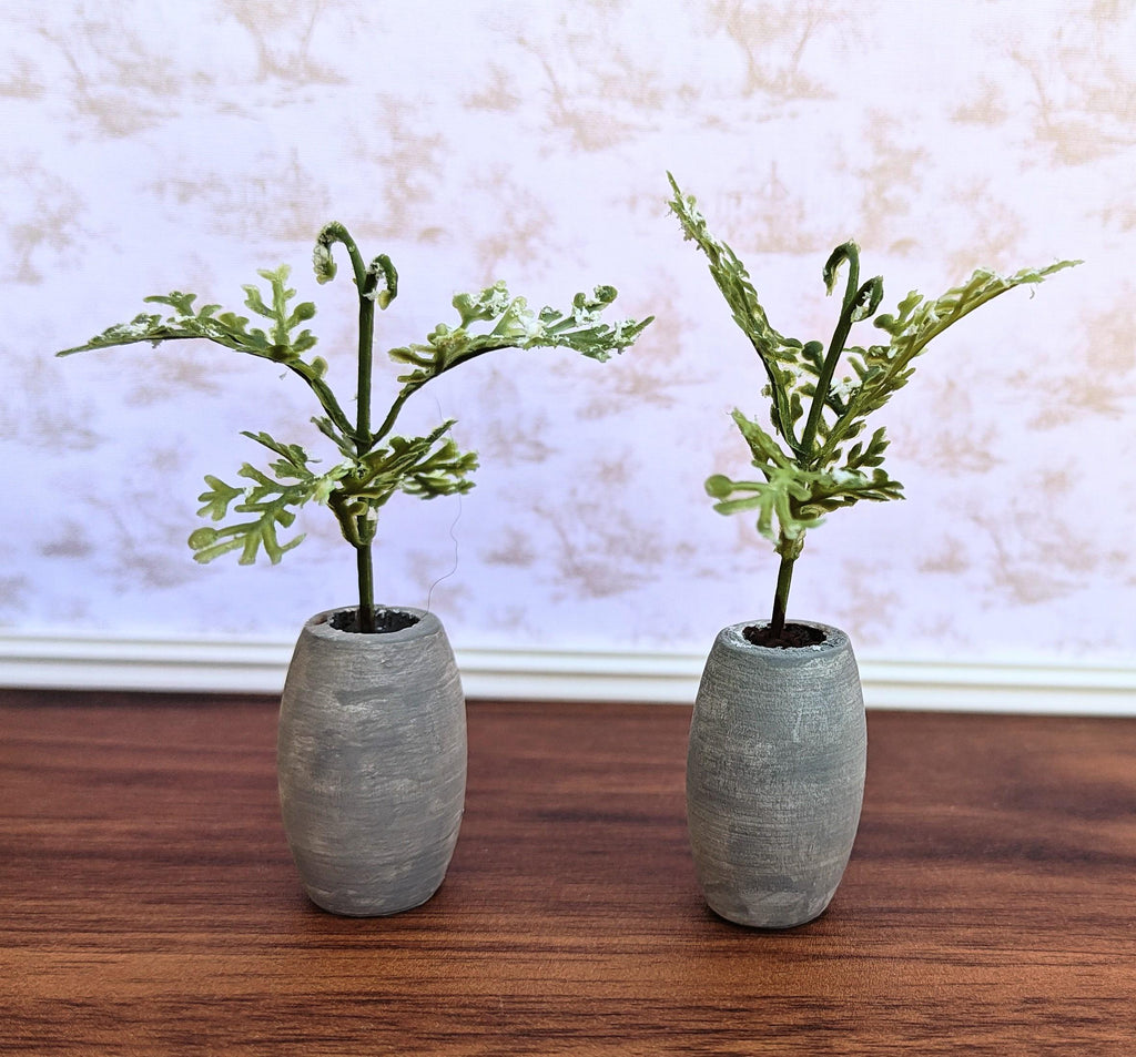 Miniature Ferns on Faux Cement Pot Modern Dollhouse Decor