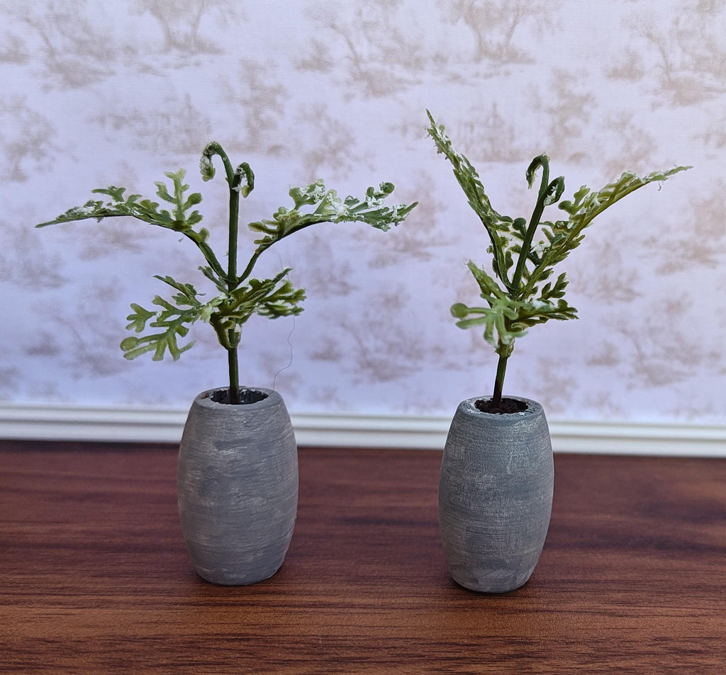 Miniature Ferns on Faux Cement Pot Modern Dollhouse Decor