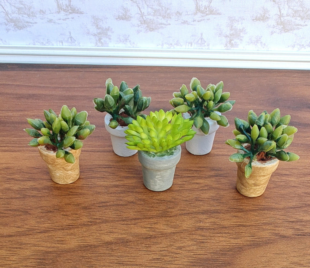 Miniature Succulents in Faux Small Cement Pot Modern Dollhouse Decor
