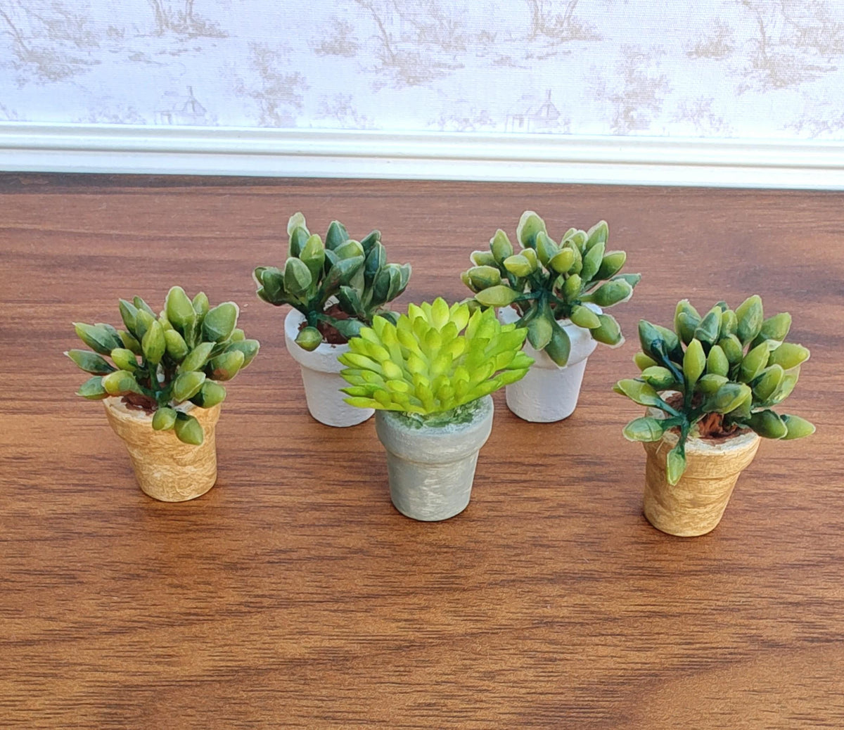 Miniature Succulents in Faux Small Cement Pot Modern Dollhouse Decor